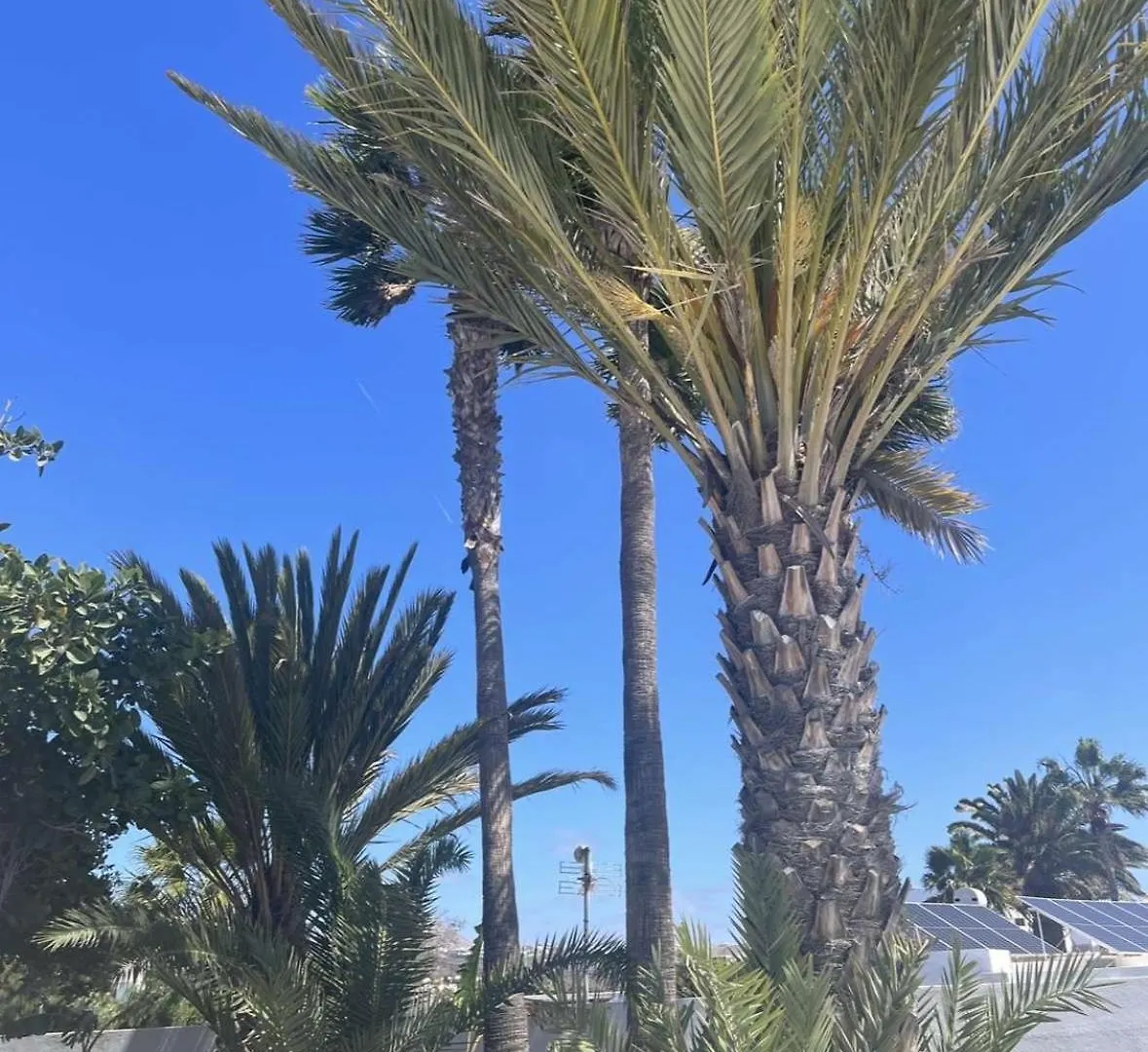 Villa Rosa Puerto del Carmen